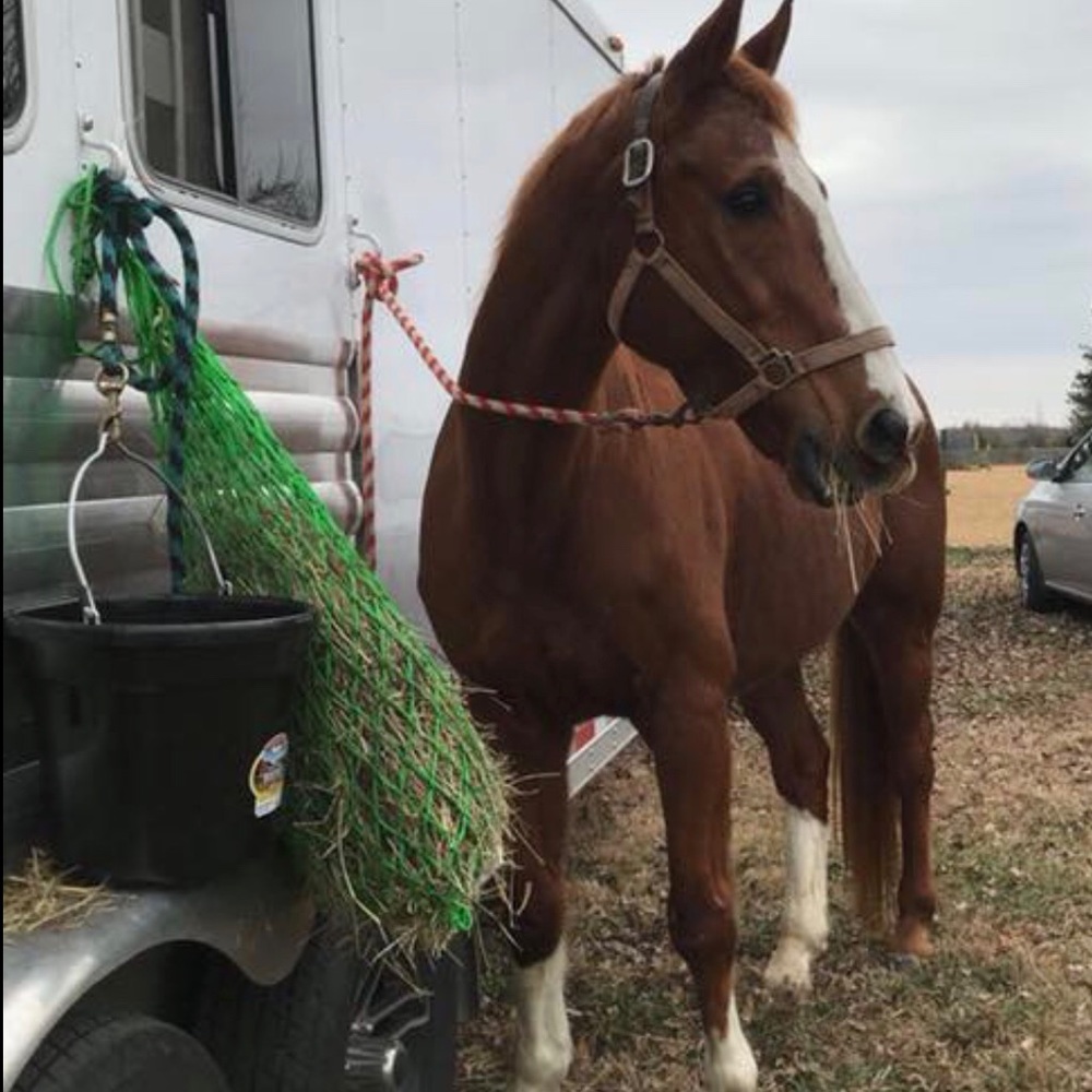 Meet your Posher, Ashtyn